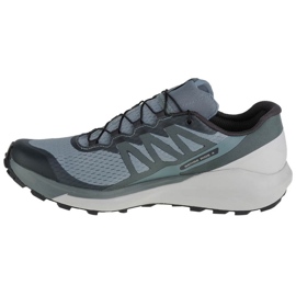 Shoes Salomon Sense Ride 4 M 412997 blue 1
