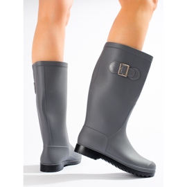 Matt Galoshes With Buckle grey 1